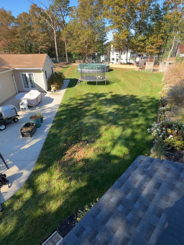 Seasonal Fall Cleanup photo 1
