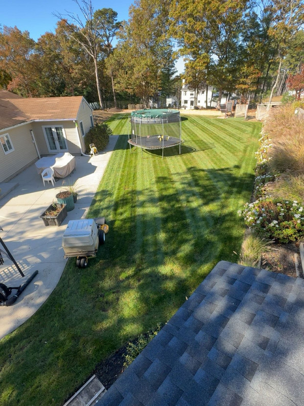 Seasonal Fall Cleanup photo 3