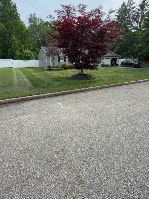 Complete Yard Recovery photo 1