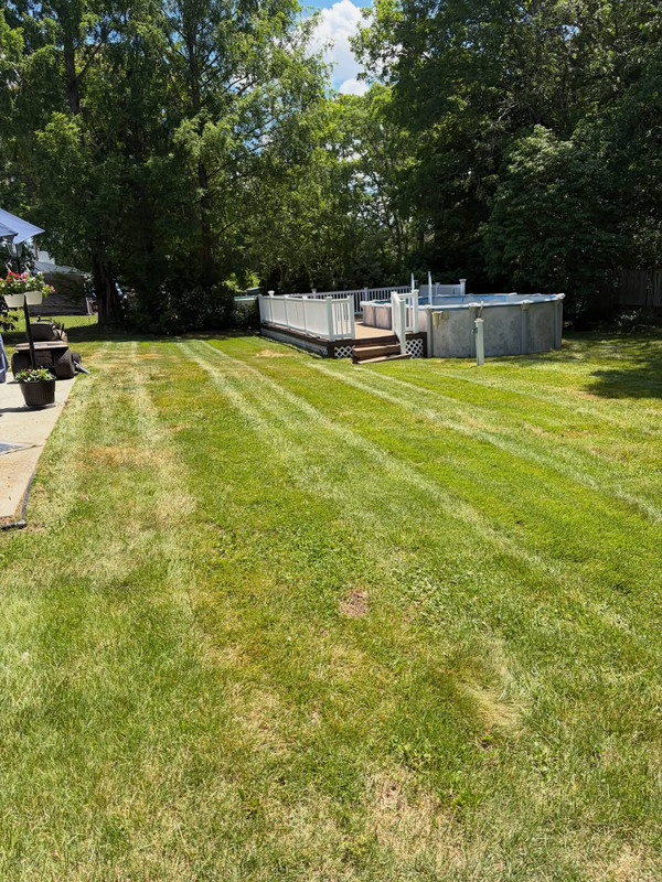 Complete Yard Recovery photo 2