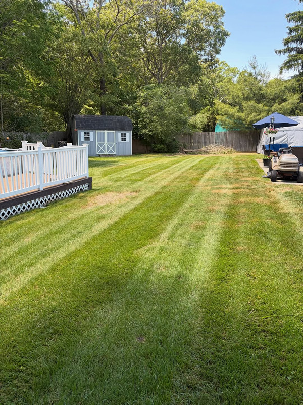 Complete Yard Recovery photo 3
